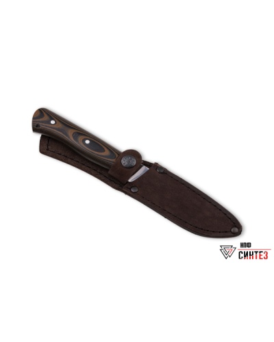 thumb_skif-g10-3
